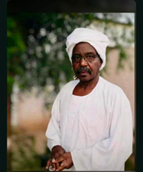 الشيخ المرين (محمد المهدي شمبول)